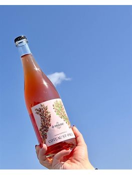 Coteau St-Paul - Ô Fraise Cidre