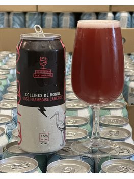 Des Collines Collines de Bonne Gose Framboise Camerise - Broue Ha Ha