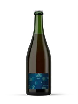Ale Vinifiée Marquette 2025