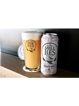 Hazy IPA 6