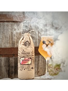 Combustion Spontanée